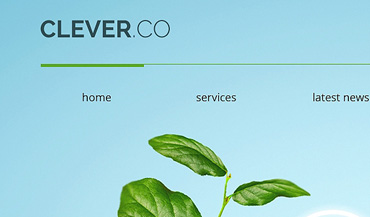 alziator - WEB development and advertising